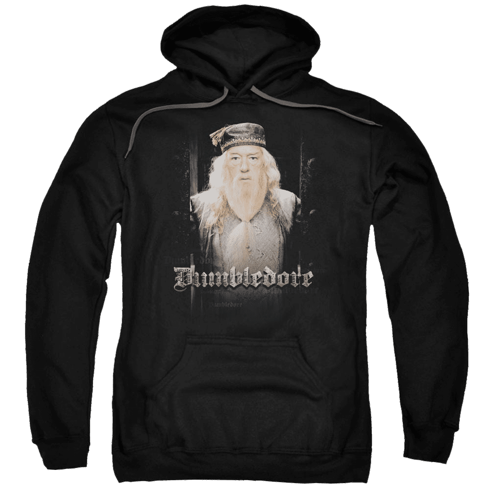 Harry Potter Dumble Doors Pullover Hoodie