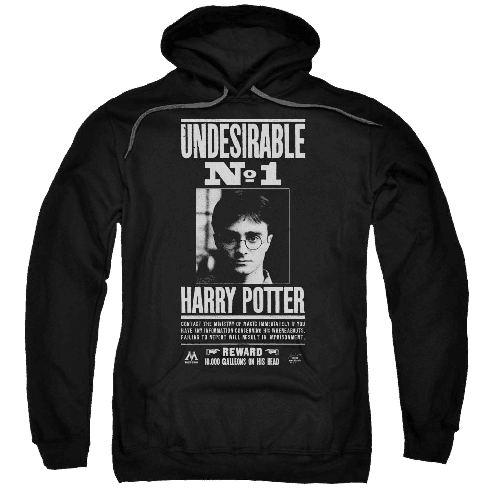 Harry Potter Undesirable No 1 Pullover Hoodie