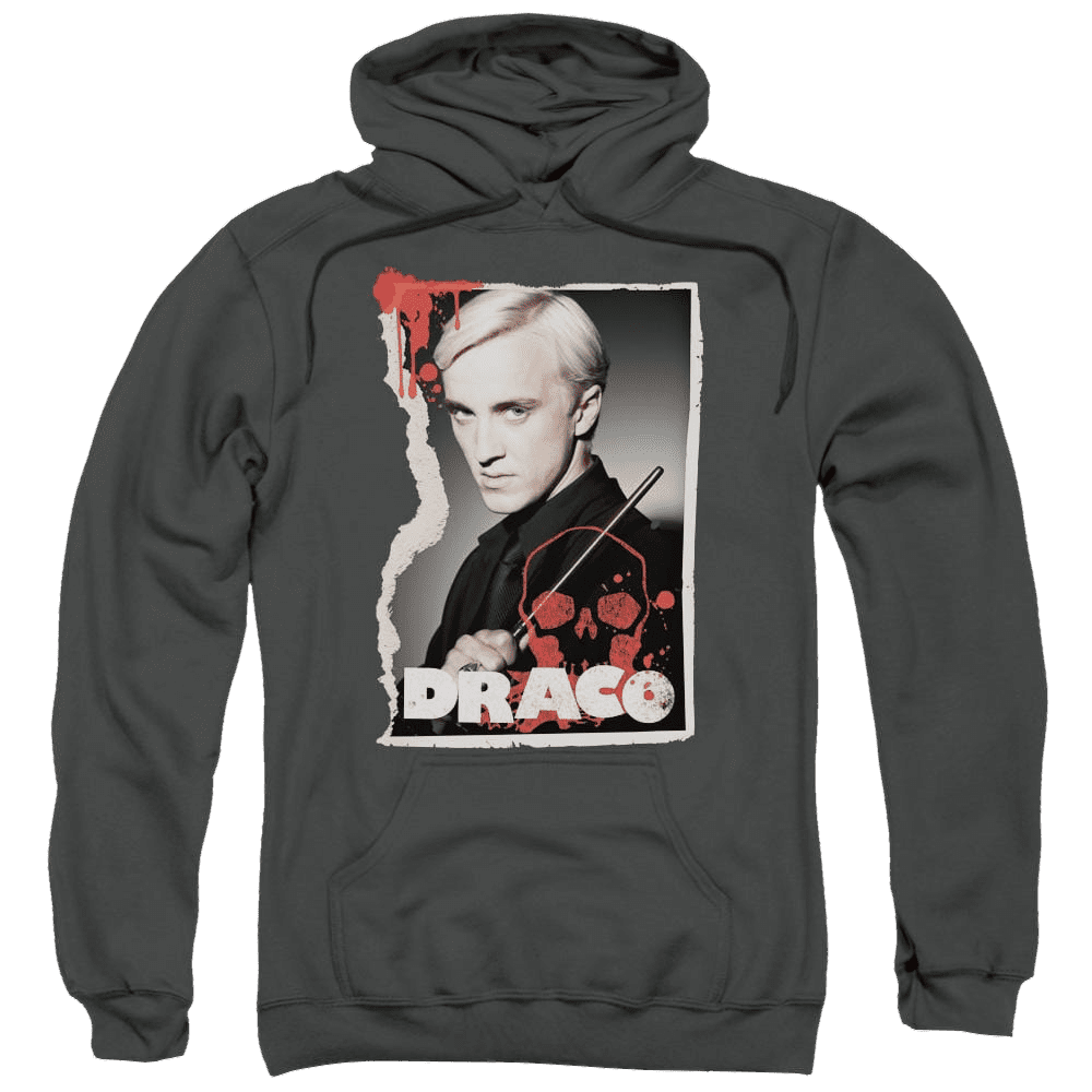 Harry Potter Draco Frame Pullover Hoodie