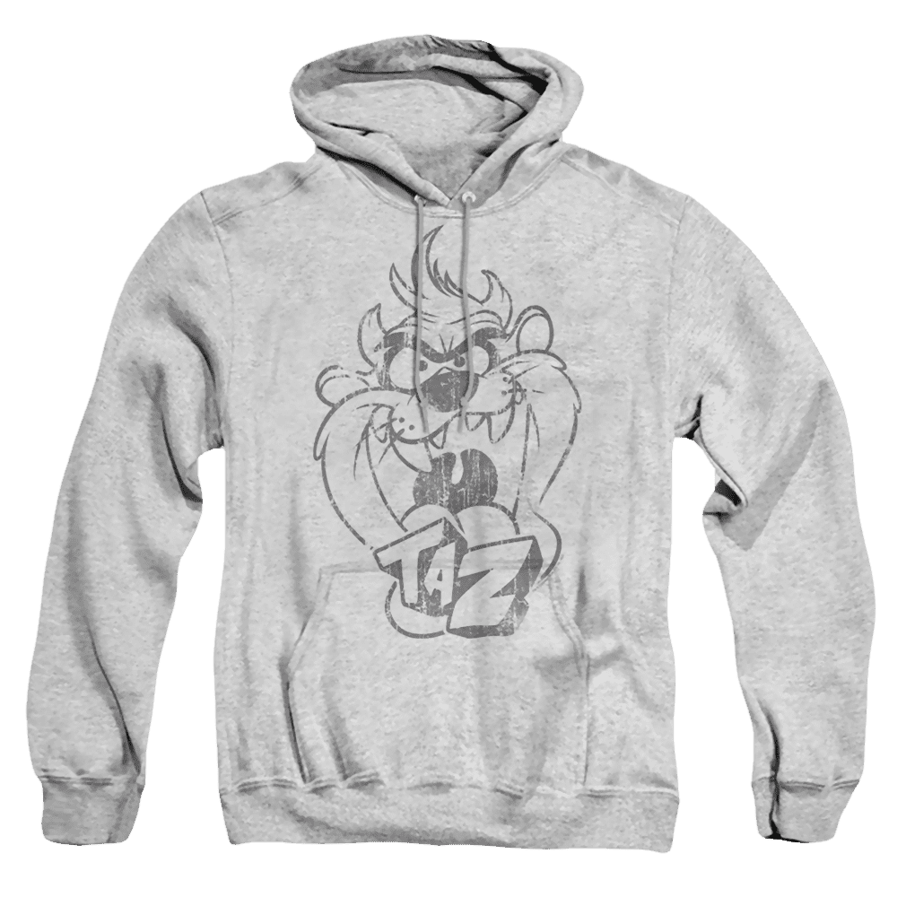 Looney Tunes Faded Taz – Pullover Hoodie